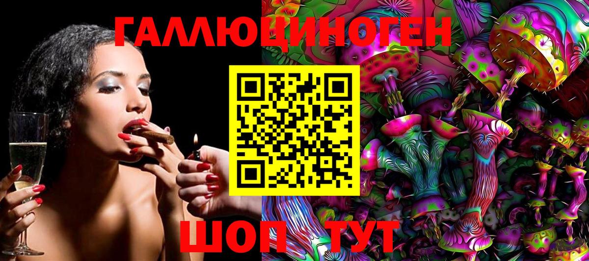 Гусиноозёрск  продажа наркотиков  Вход с VPN  Псилоцибиновые грибы Psilocybine cubensis 